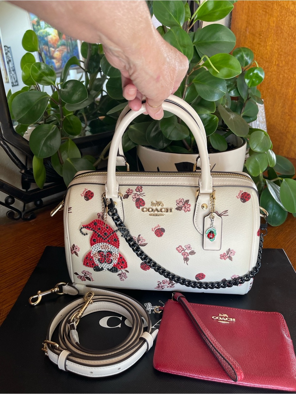 COACH Rowan Ladybug Satchel Bag with Matching Wristlet